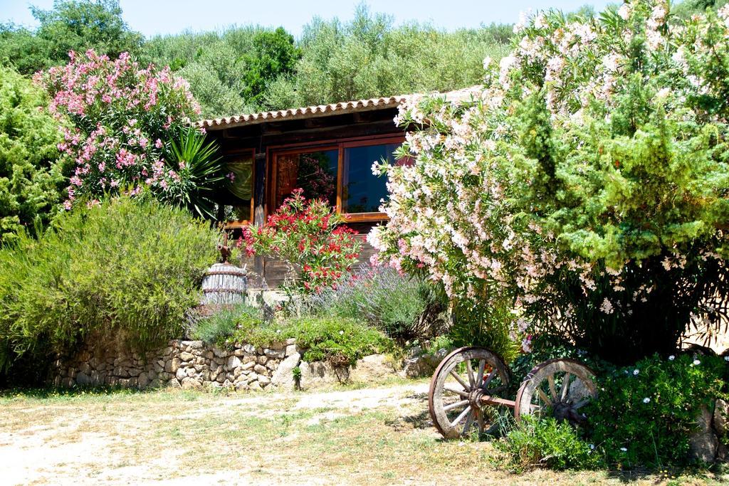 فيلا Agriturismo Sardo Campavaglio المظهر الخارجي الصورة