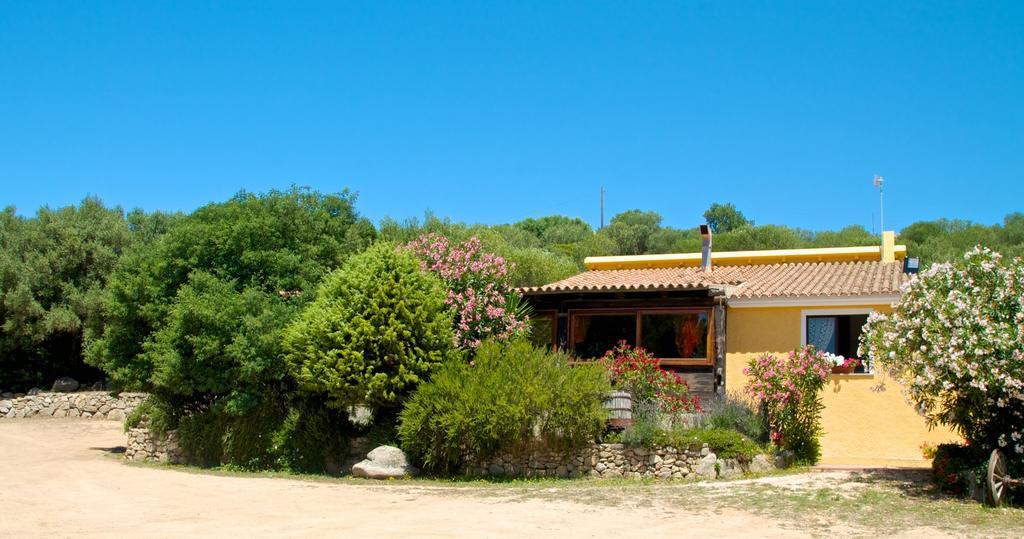فيلا Agriturismo Sardo Campavaglio المظهر الخارجي الصورة