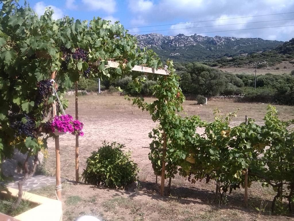 فيلا Agriturismo Sardo Campavaglio المظهر الخارجي الصورة