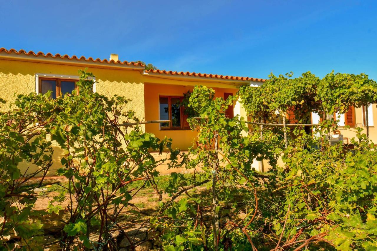 فيلا Agriturismo Sardo Campavaglio المظهر الخارجي الصورة