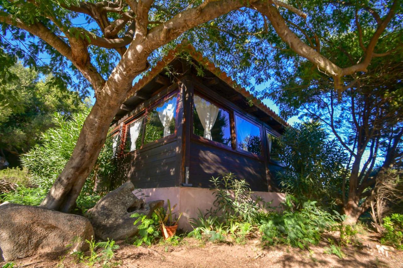 فيلا Agriturismo Sardo Campavaglio المظهر الخارجي الصورة